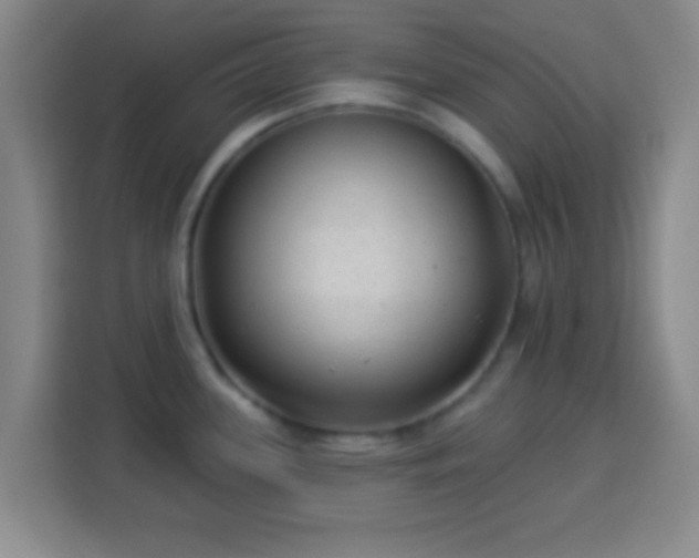 X0000113961339200910021518