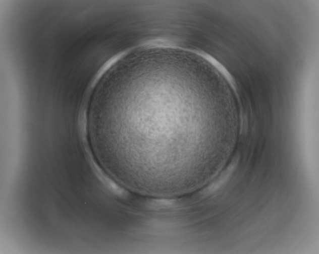 X0000113961341200910021518