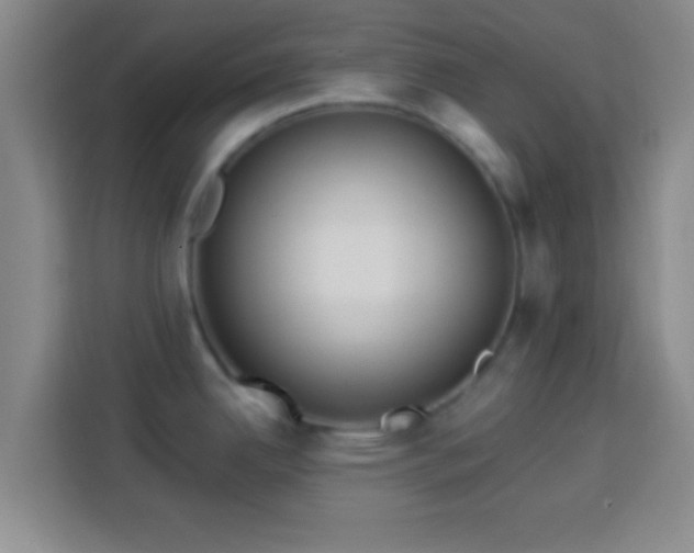 X0000113961342200910021518