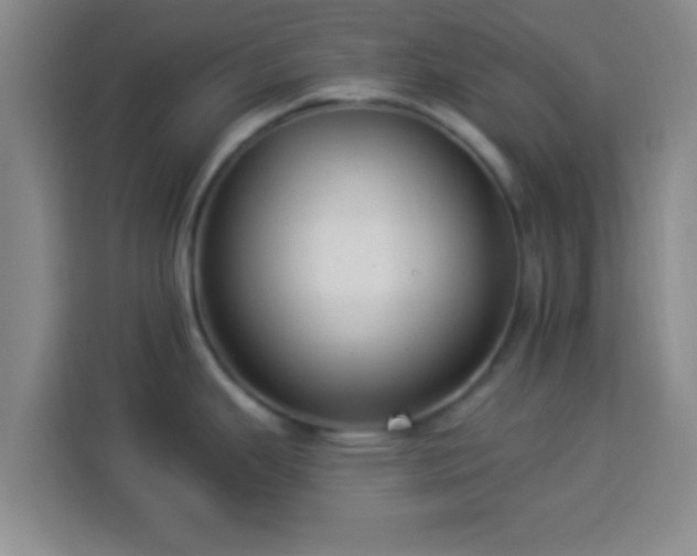 X0000113961343200910021518