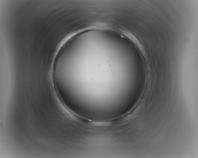 X0000113961344200910021518