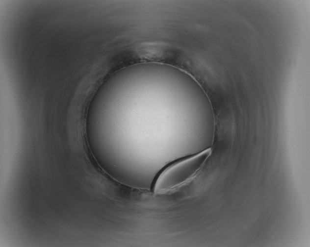 X0000113961345200910021517