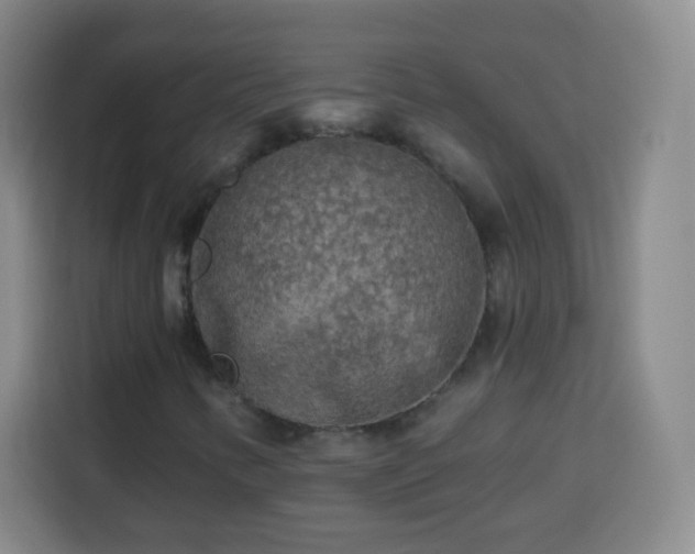 X0000113961346200910021517