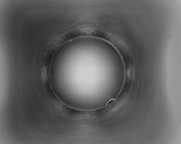 X0000113961347200910021517