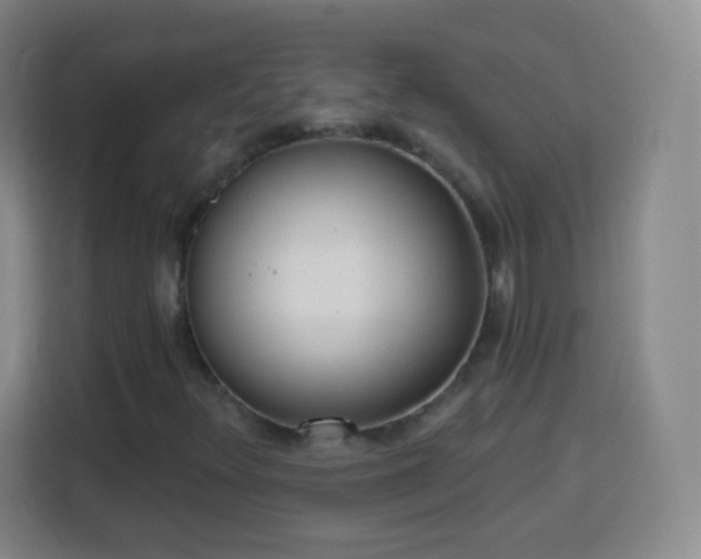 X0000113961348200910021517