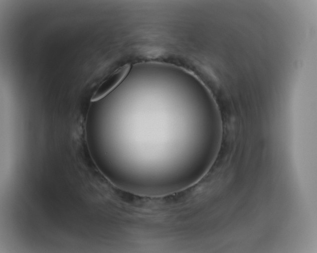 X0000113961349200910021517