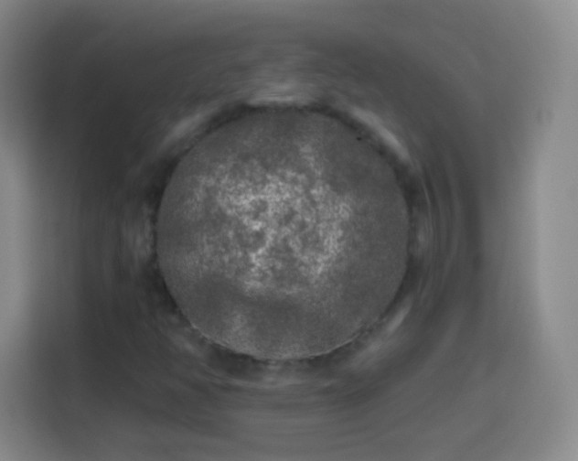 X0000113961350200910021517