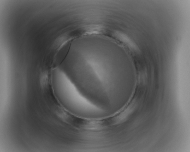 X0000113961353200910021517