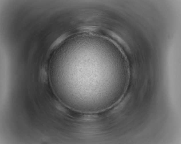 X0000113961354200910021517