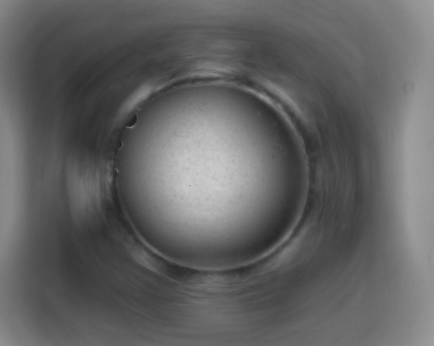 X0000113961355200910021517