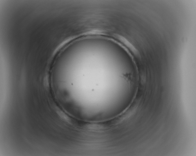 X0000113961356200910021517