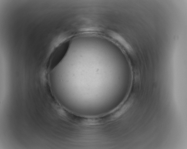 X0000113961357200910021517