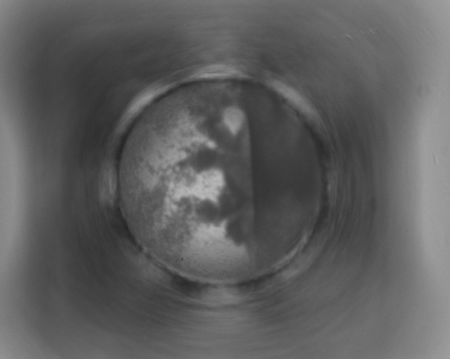 X0000113961358200910021517