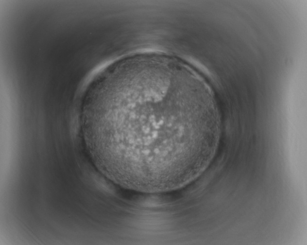 X0000113961359200910021517