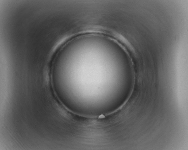 X0000113961360200910021517