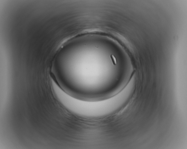 X0000113961361200910021517