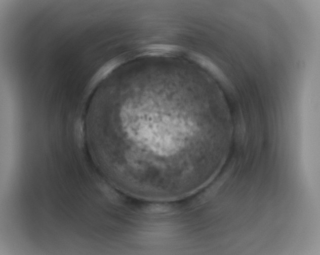 X0000113961362200910021517