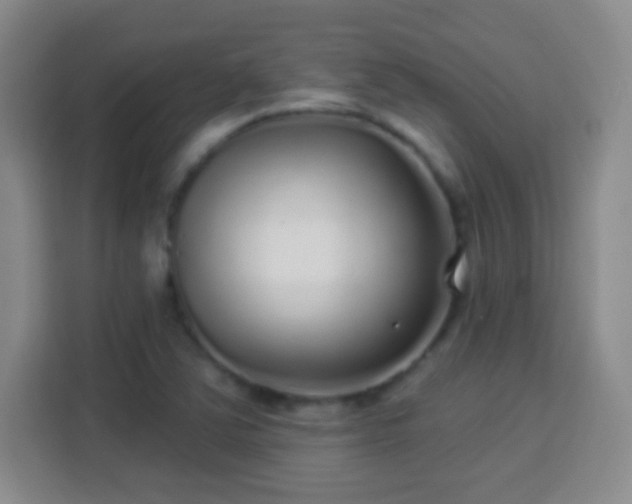 X0000113961363200910021517