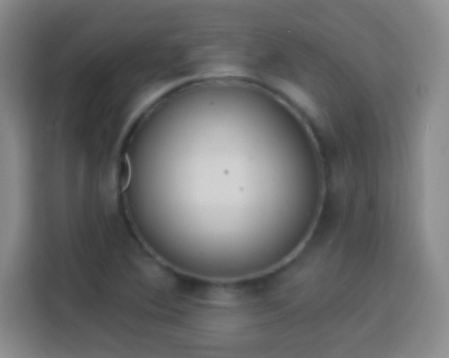 X0000113961364200910021517