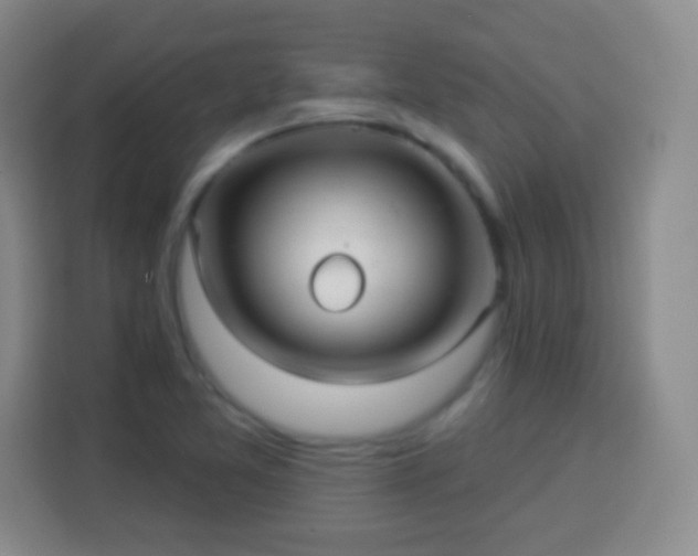 X0000113961365200910021517