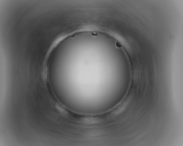 X0000113961366200910021517