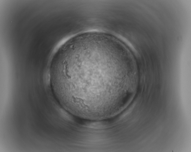 X0000113961367200910021517