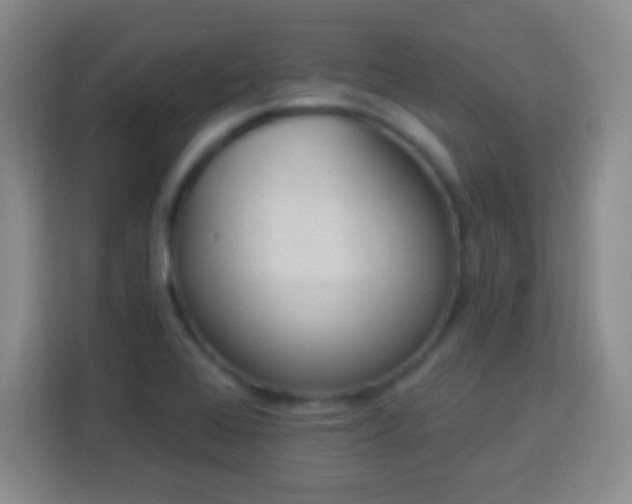 X0000113961368200910021517