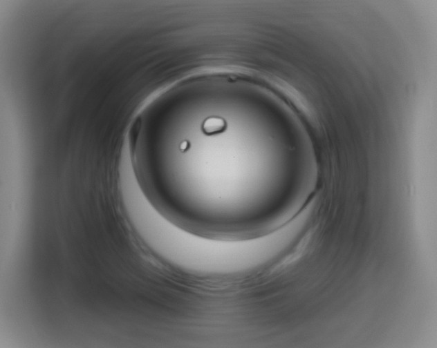 X0000113961369200910021517