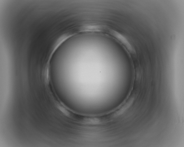 X0000113961370200910021517