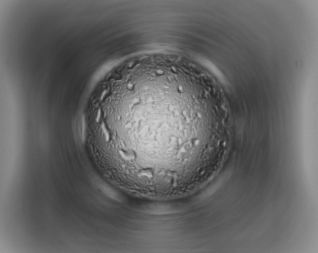 X0000113961371200910021517