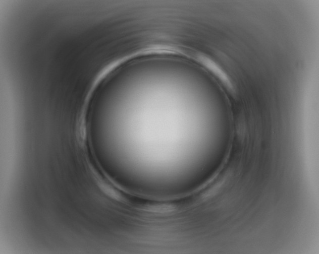 X0000113961372200910021517