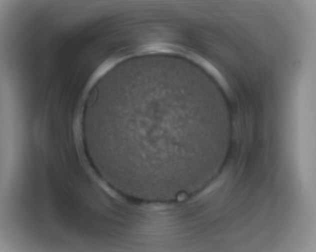 X0000113961373200910021517