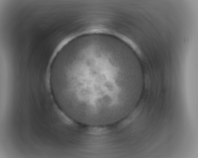 X0000113961374200910021517