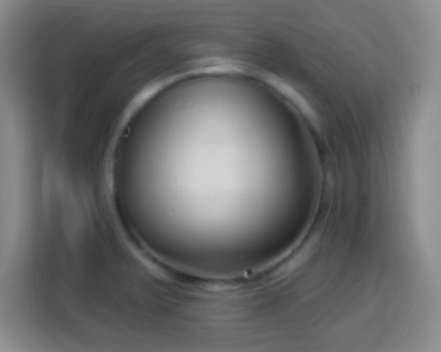 X0000113961375200910021517