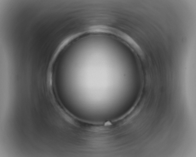 X0000113961376200910021517