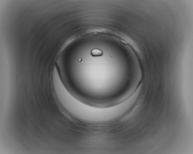 X0000113961377200910021517