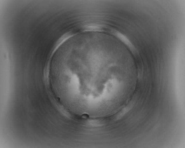 X0000113961378200910021517