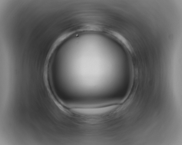 X0000113961379200910021517