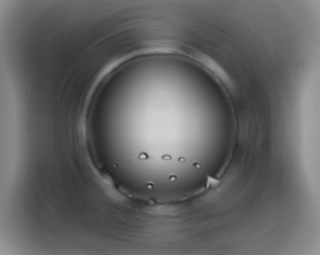 X0000113961380200910021517