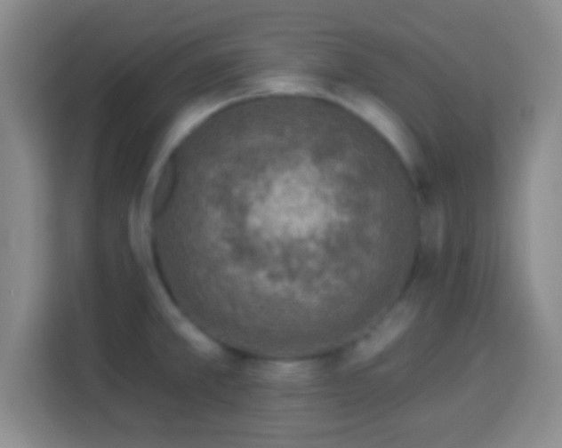 X0000113961381200910021517