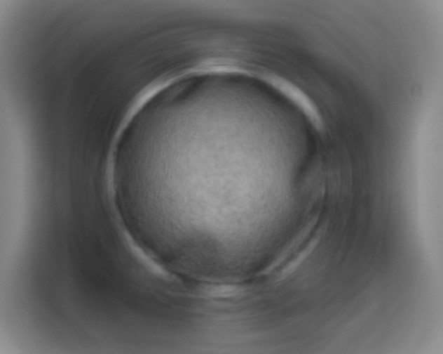 X0000113961382200910021517