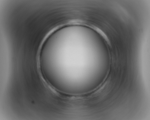 X0000113961384200910021517