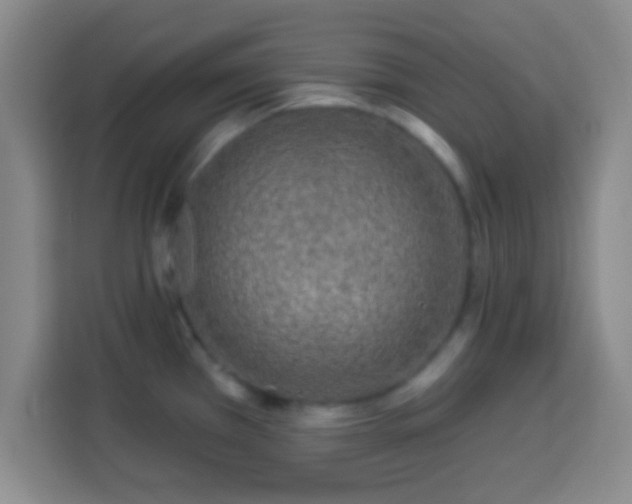 X0000113961385200910021517