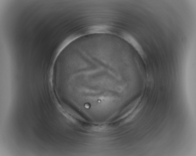 X0000113961386200910021517