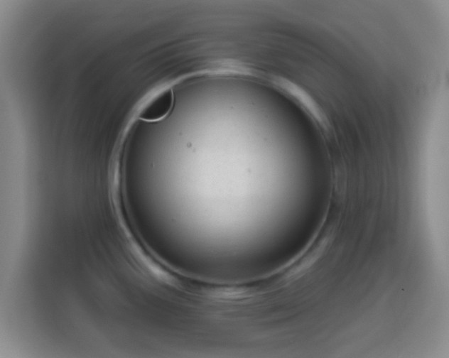 X0000113961387200910021517