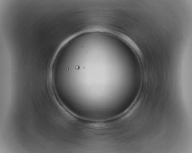 X0000113961388200910021517