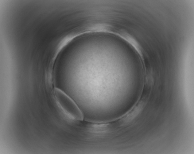 X0000113961389200910021517