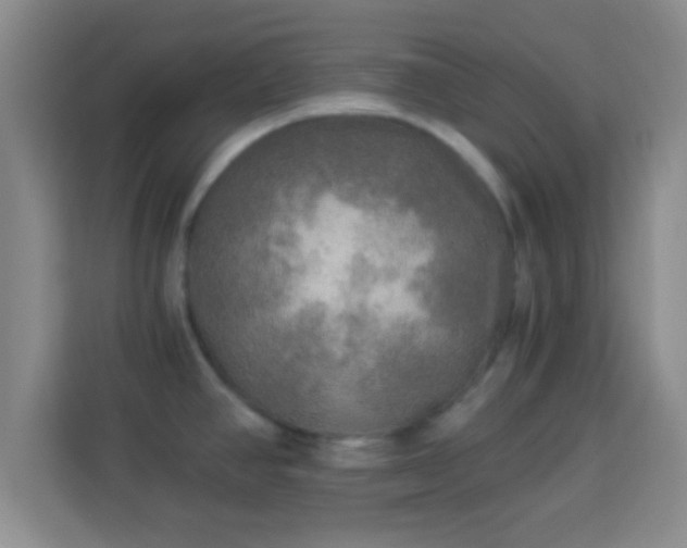 X0000113961390200910021517