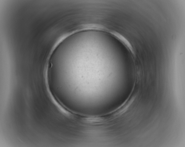 X0000113961391200910021517