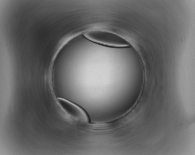 X0000113961392200910021517